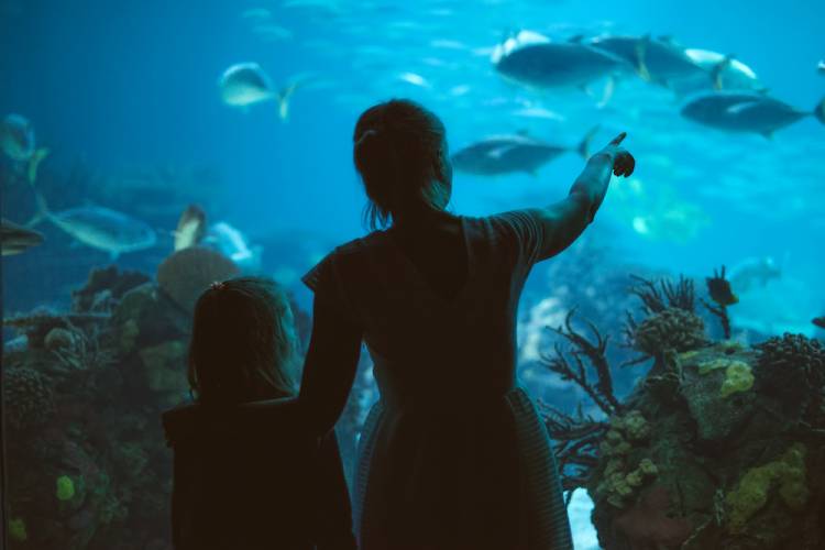 Virginia Aquarium & Marine Science Center