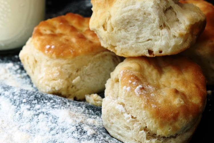 The Bee & The Biscuit