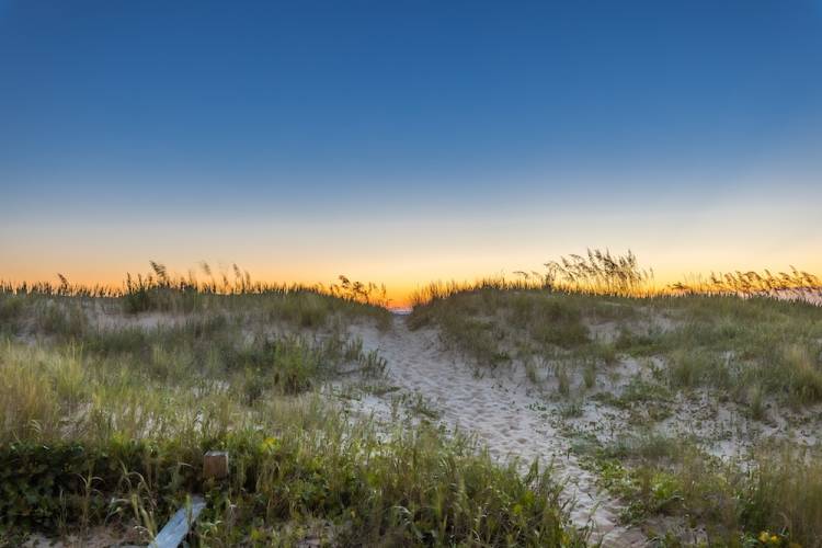fall in sandbridge
