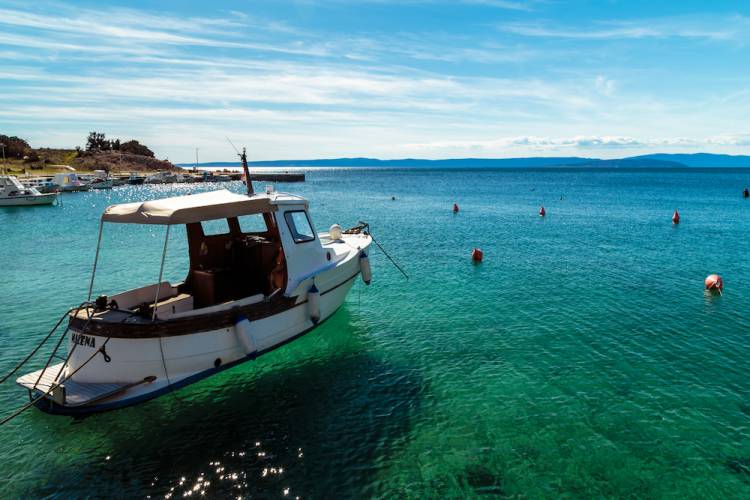 AquaMan Sport Fishing Charters