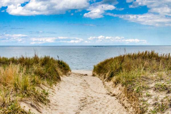 Sandbridge Beach