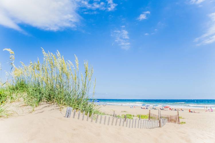 sandbridge beach, coastal virginia