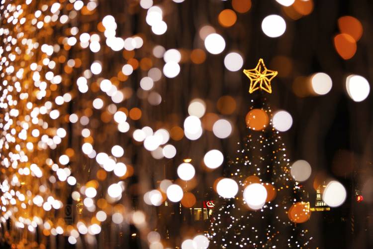 Holiday Yule Log Bonfire & Holiday Marketplace