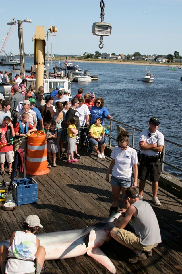 Camp Ellis Pier