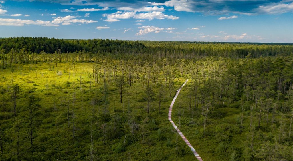 Saco Heath Preserve