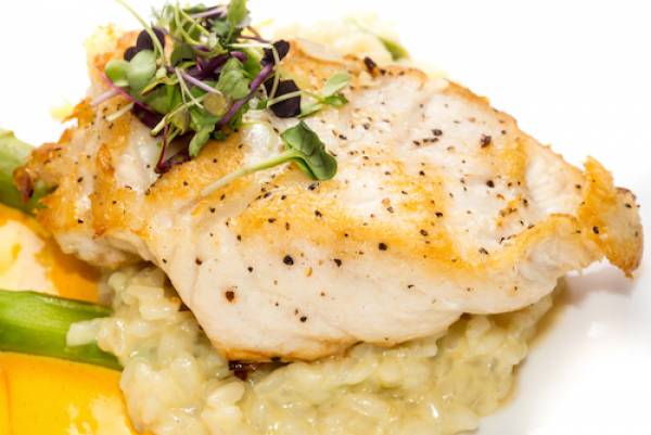 grouper dish