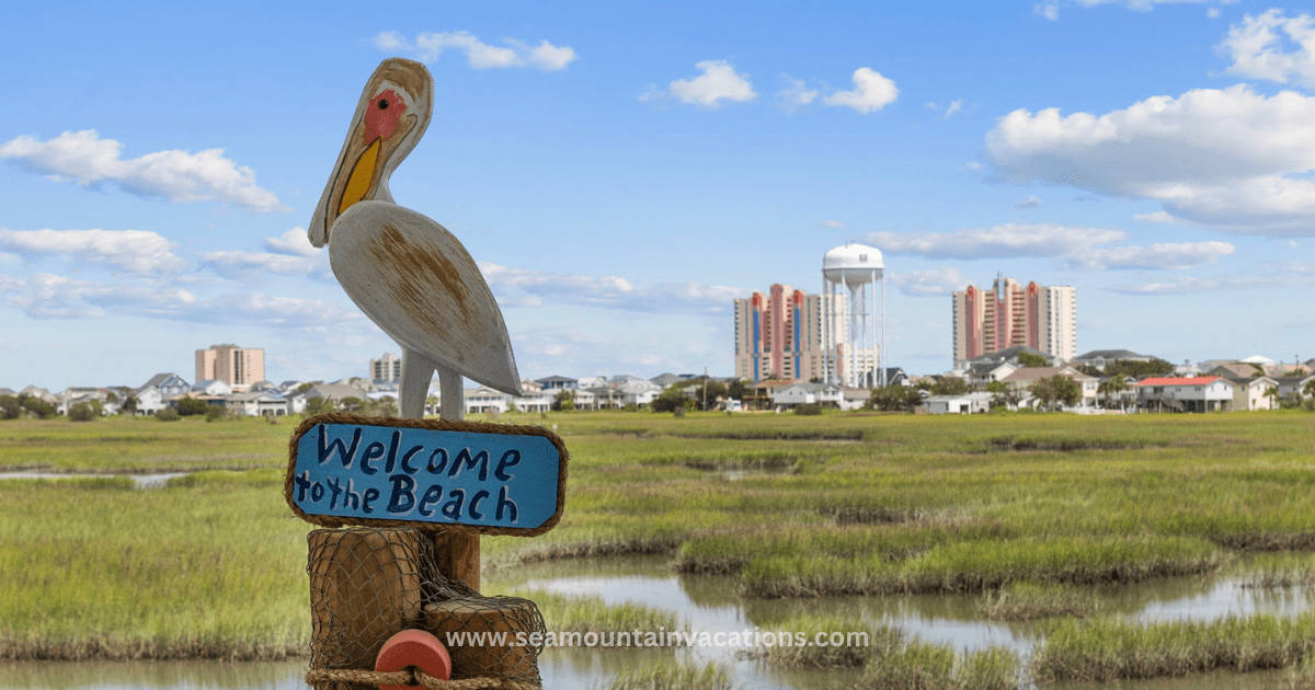 Best Beaches in North Myrtle Beach