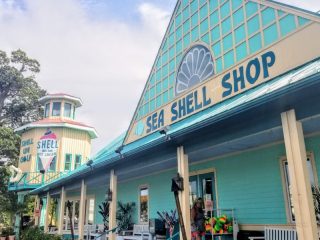 Shell We Golf / Sea Shell Shop