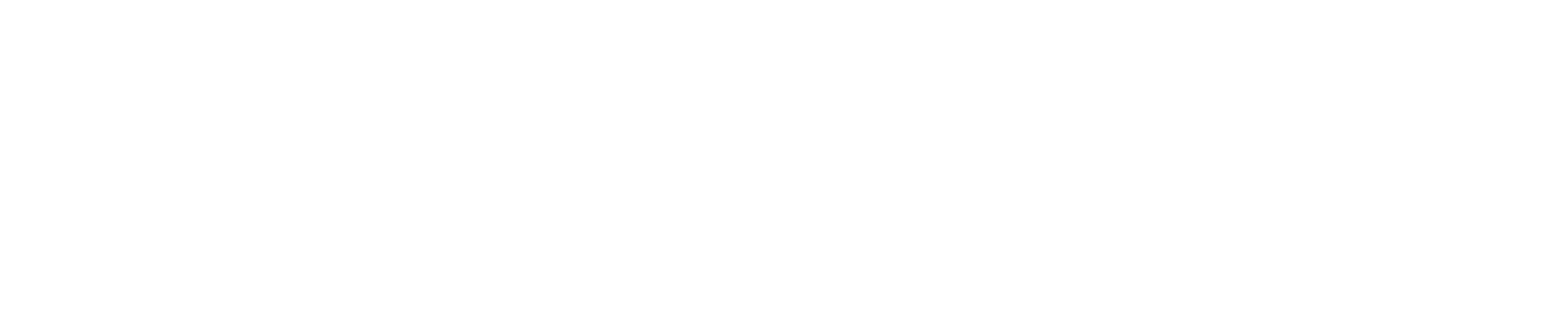 Southern Sands Property Management Group LLC