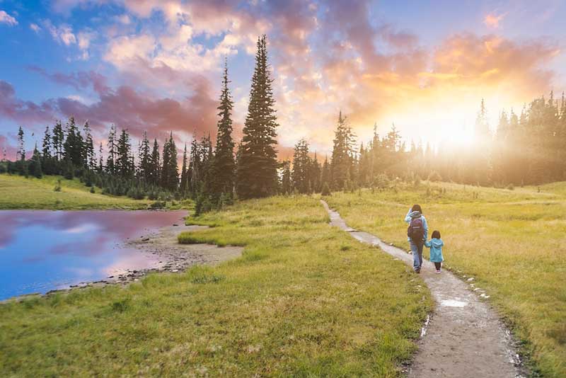Explore the Great PNW with Our Beginner Mt. Rainier Itinerary