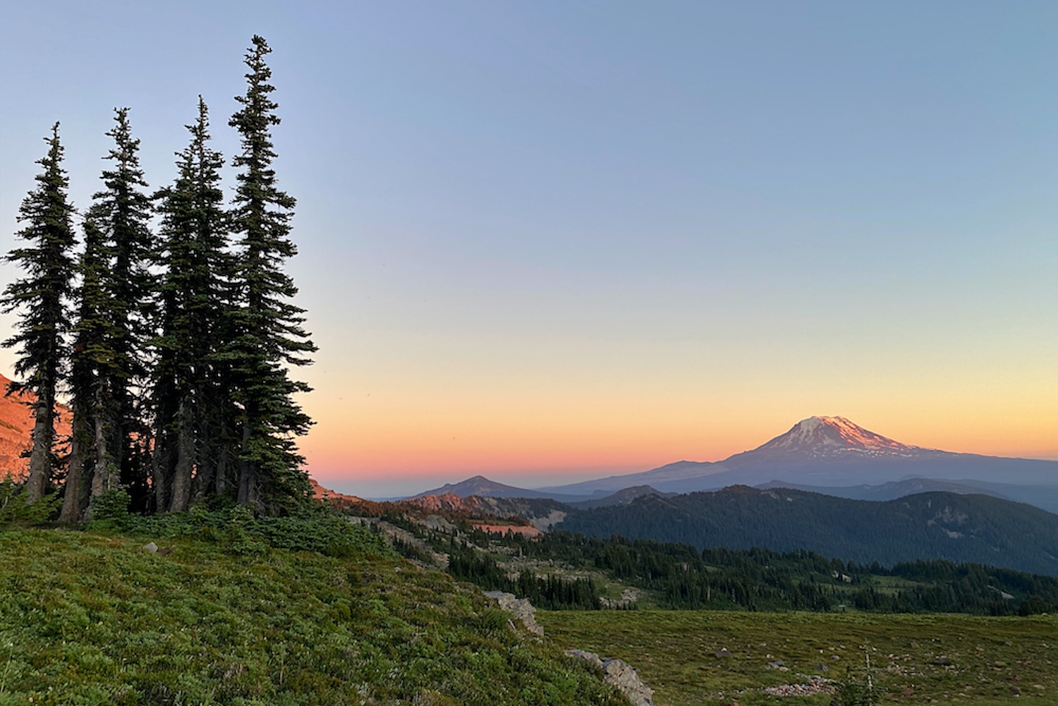 10 Fun Facts About the Gifford Pinchot National Forest