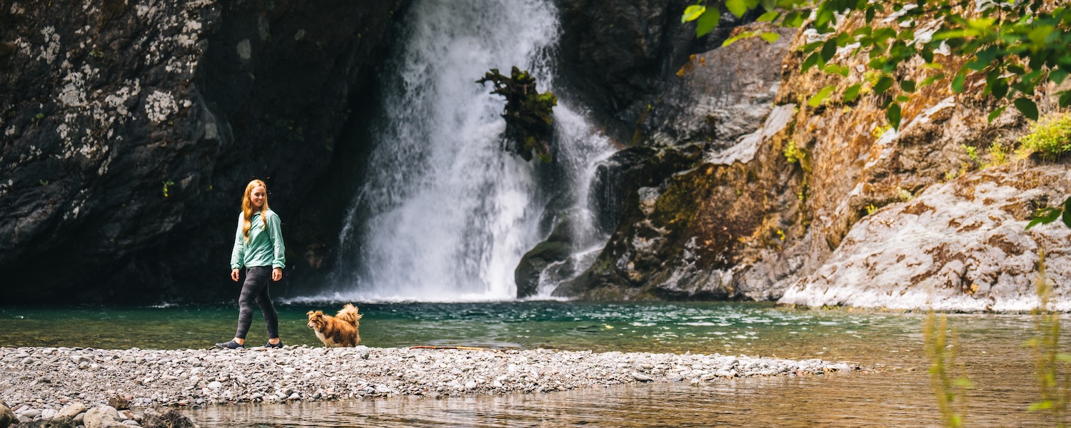 Dog Friendly Packwood: A Guide to Traveling with Your Pup