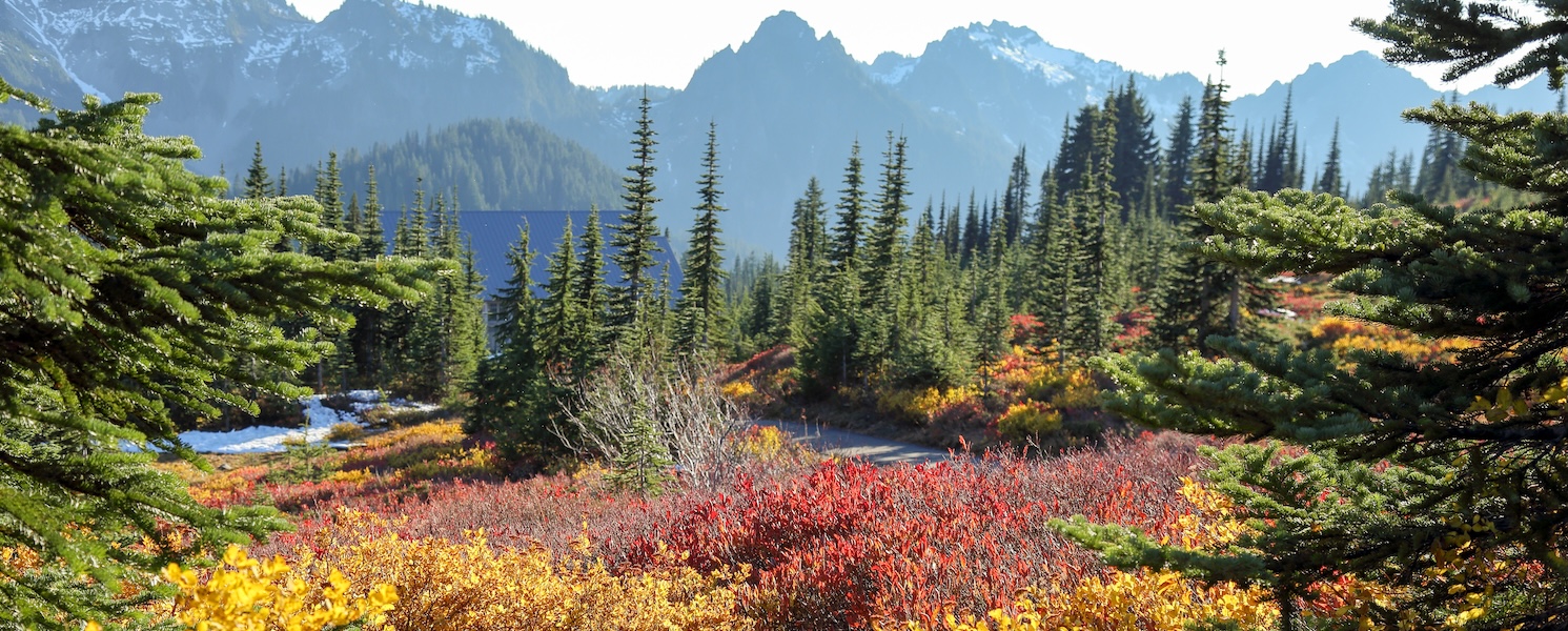 Your Complete Guide to Fall Colors at Mount Rainier
