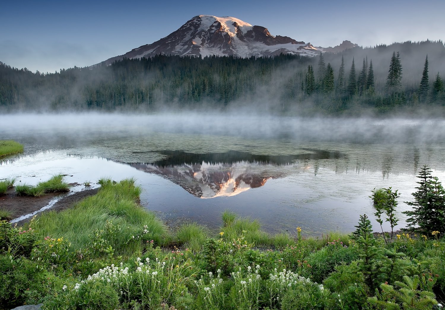 Best Time to Visit Mount Rainier and Why