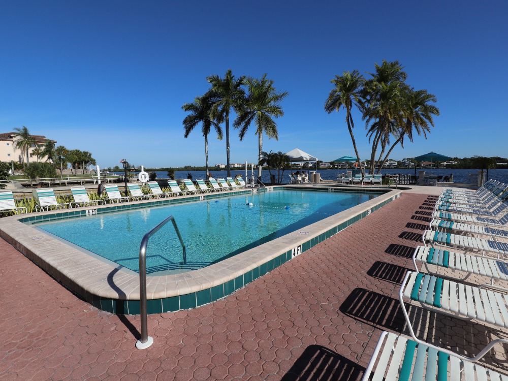 A sunny pool area with lounge chairs, palm trees, and a view of the water in the background.