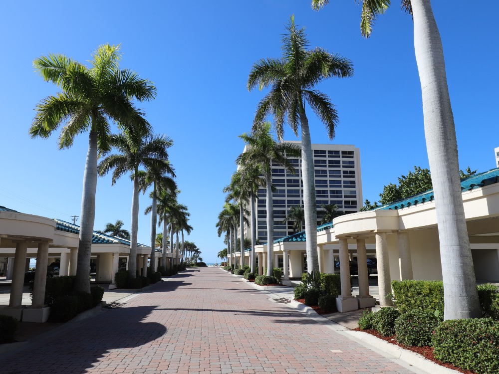 A palm-lined pathway leads to a building under a clear blue sky, with neatly arranged pavers and greenery on either side.