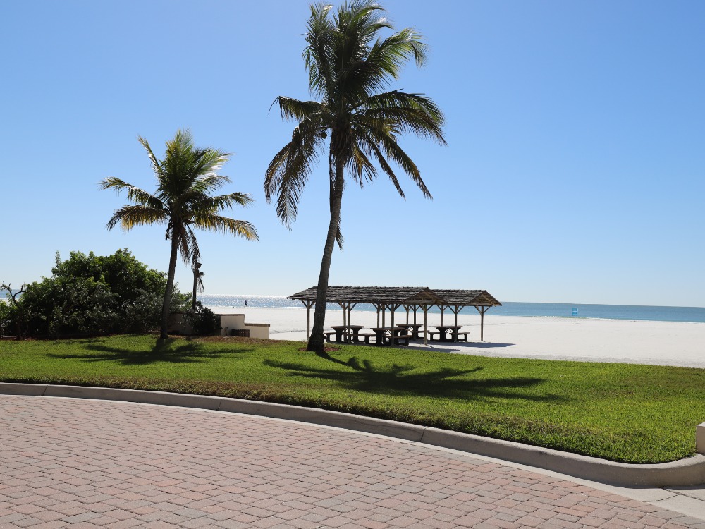 A sunny beach scene featuring palm trees, a grassy area, and a shaded picnic structure near the shoreline.