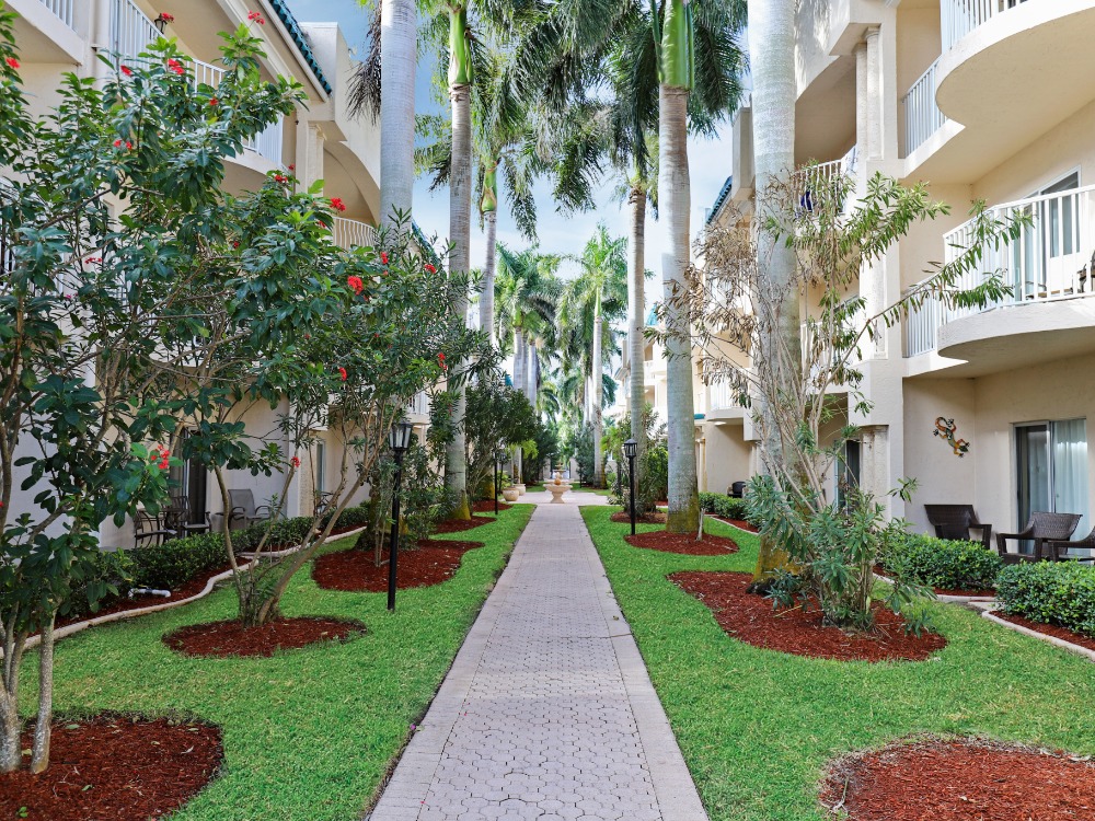 A landscaped pathway lined with palm trees and flowering bushes, leading between two buildings with balconies.