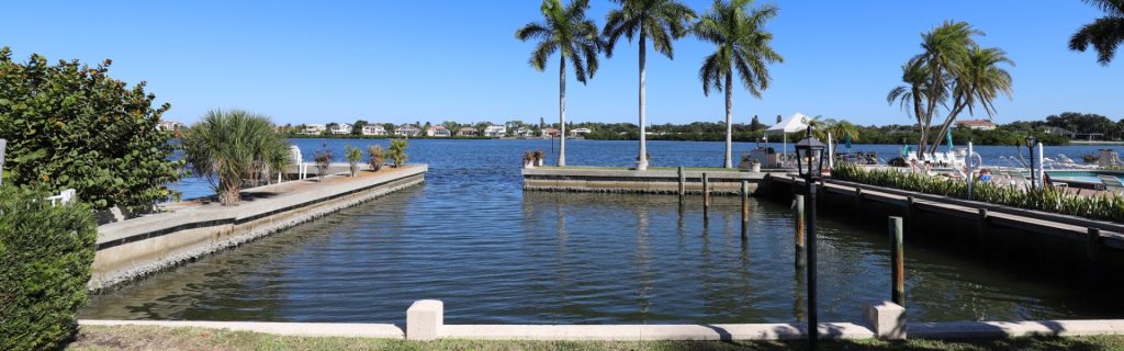A serene waterfront view featuring palm trees, calm water, and residential homes in the background under a clear blue sky.