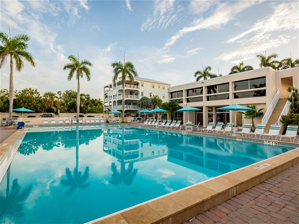 A serene pool area surrounded by palm trees, lounge chairs, and umbrellas, with a modern building in the background under a clear sky.