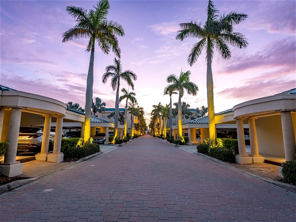 A palm-lined pathway leads through a parking area, illuminated by soft lights under a colorful sunset sky.
