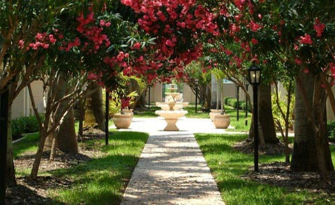 jqg_1556313468-0 A serene garden pathway lined with flowering trees, leading to a fountain, surrounded by lush green grass.