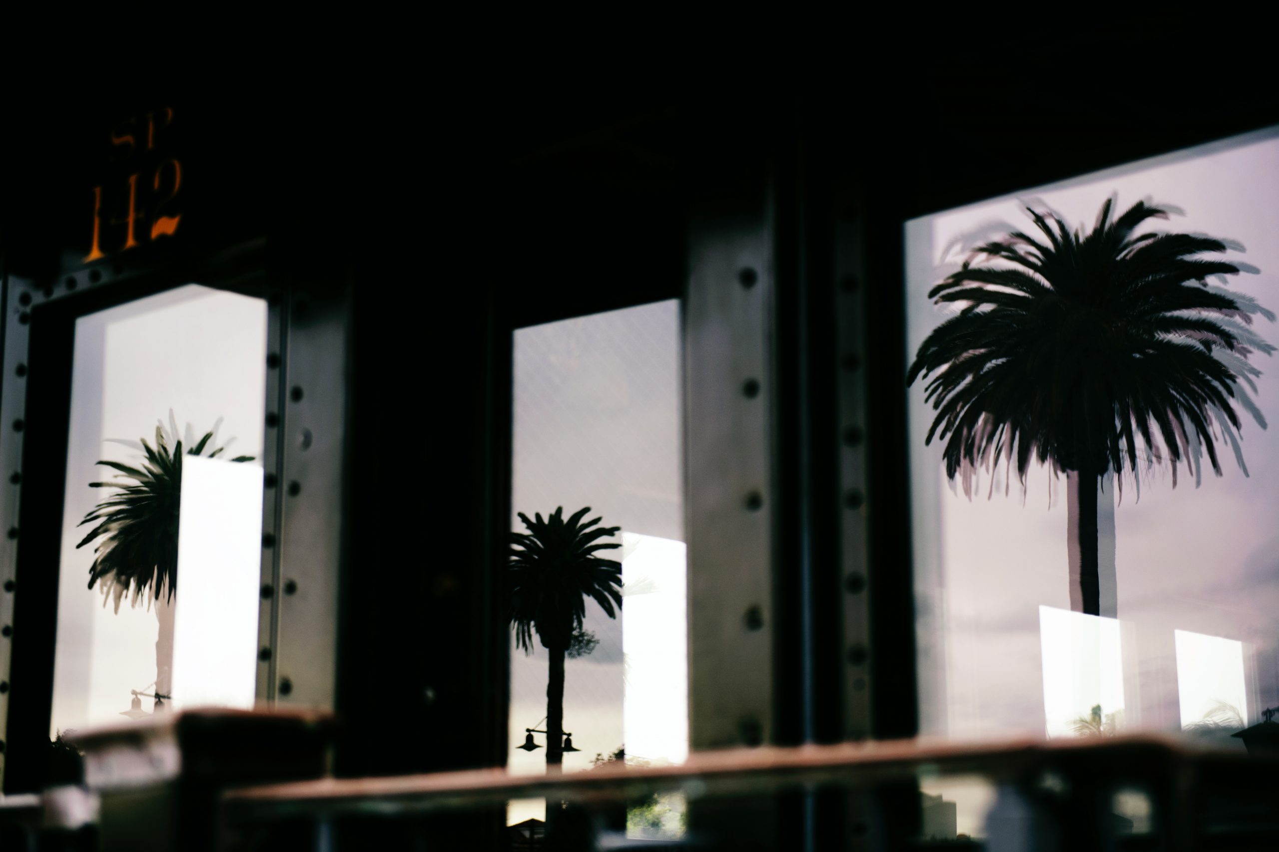 palm trees reflected in windows