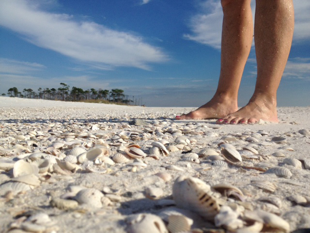 Shell Island Shuttle