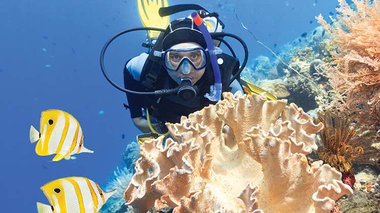 Panama City Diving