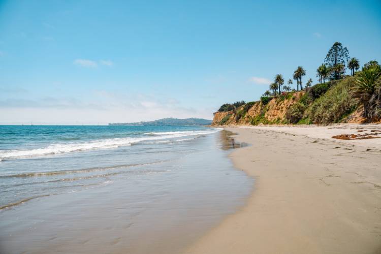 butterfly beach
