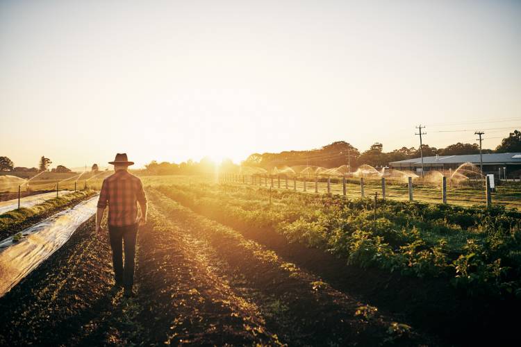Santa Barbara County Farm