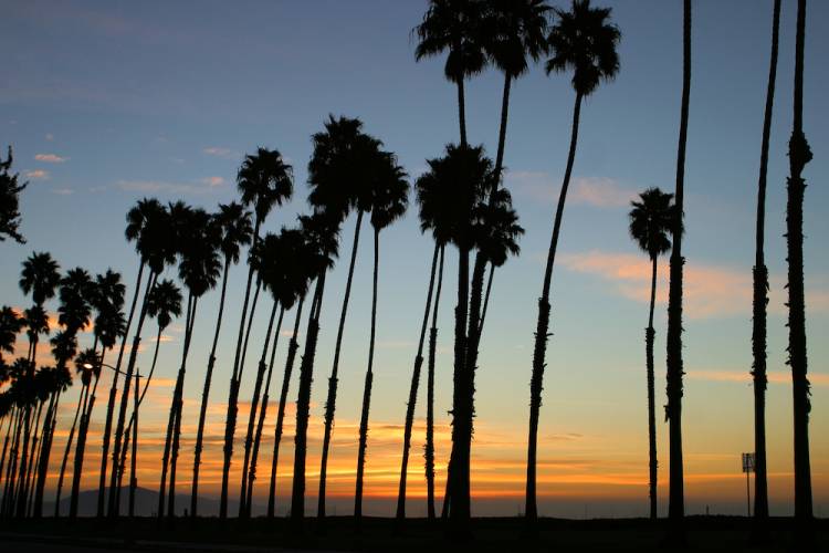 West Beach