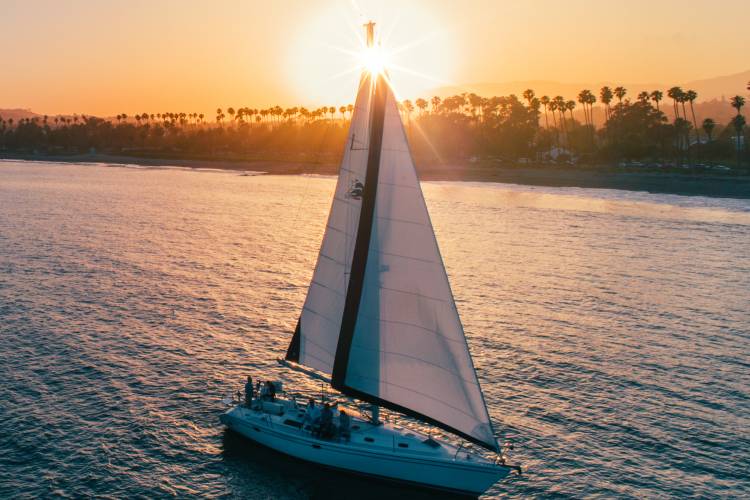Santa Barbara Whale Watching