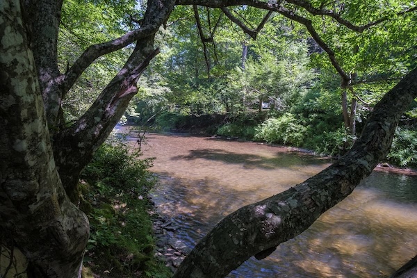 French Broad River
