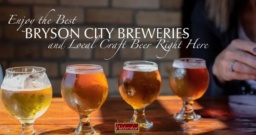 Enjoy the Best Bryson City Breweries & Local Craft Beer Right Here