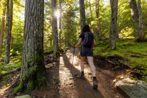 Hiking Guide