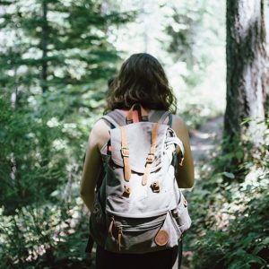 Hiking Tours
