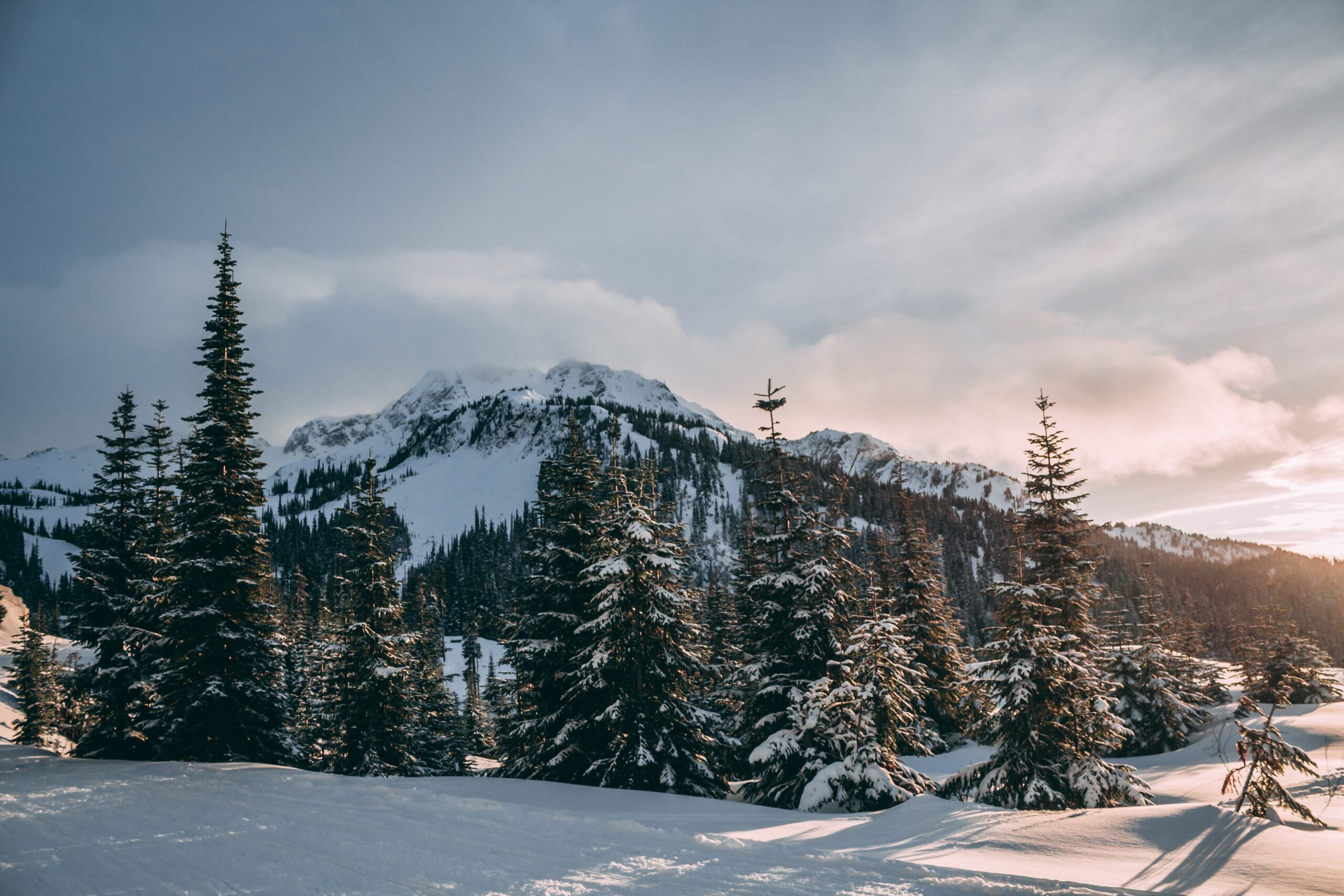 Whistler mountains in winter