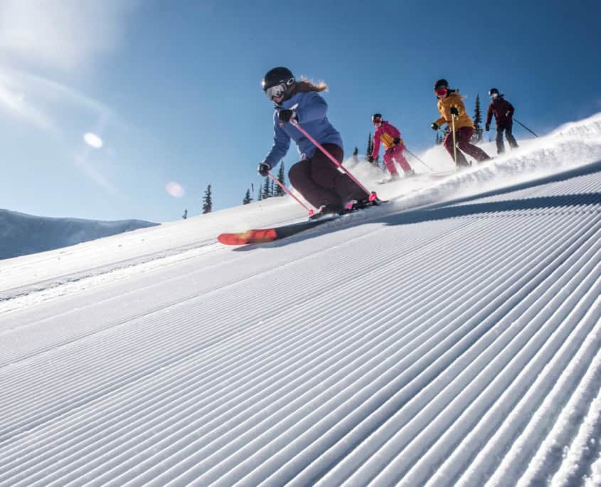 Snow School