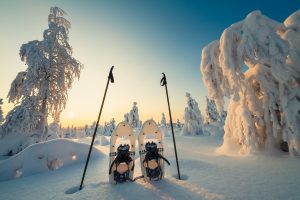 Snowshoeing