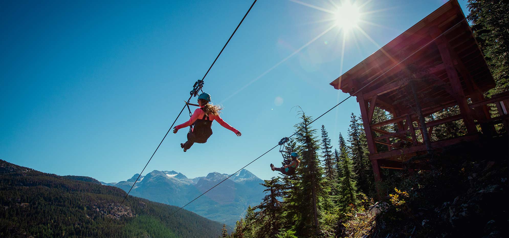 Ziplining Summer