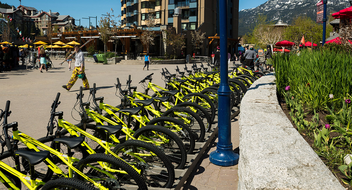 Bike Rental Options Whistler